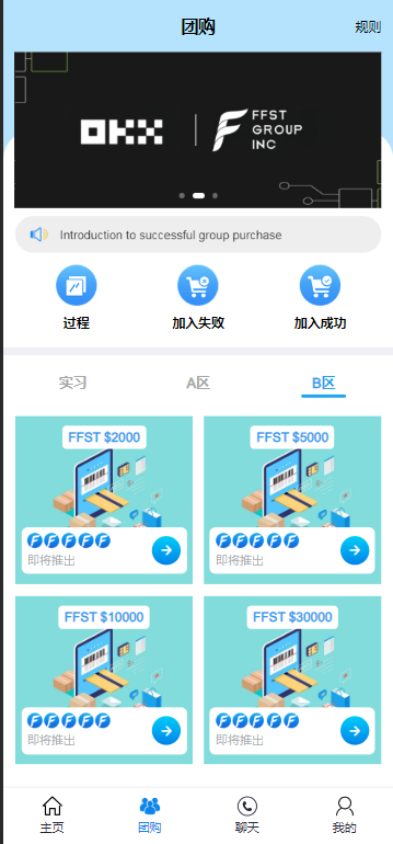 FFST GROUP INC海外拼团源码/双语言团购拼团商城源码插图6